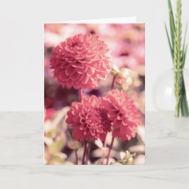 Cartão Nota de Dahlia Blooms Rosa