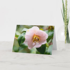 Cartão Nota de Flor Rosa Camellia
