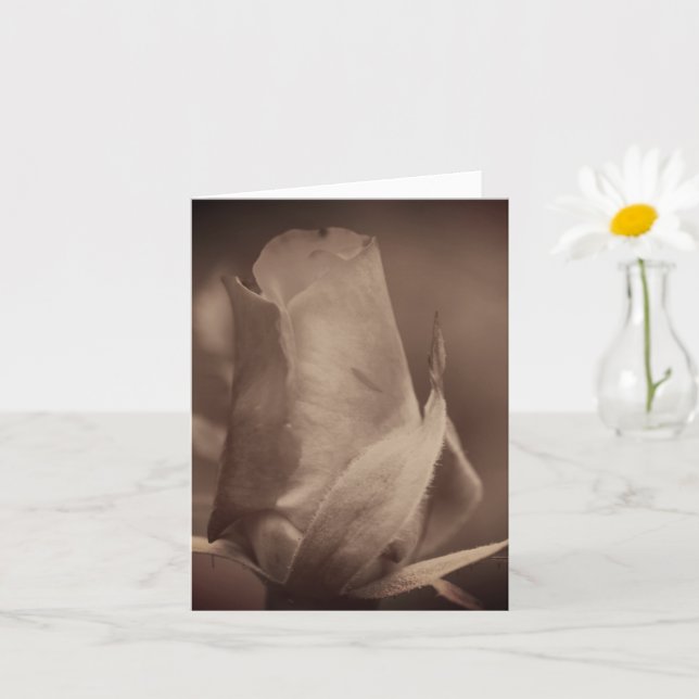 Cartão Nota de Flor Rosa Envelhecida em Sépia Antiga (Planta pequena)