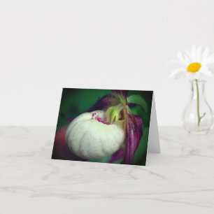 Cartão Nota de Fotografia da Flor de Orquídea Sapatinho d