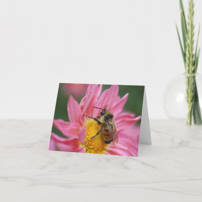 Cartão Nota de fotografia de abelha em flor de margarida  (Frente)