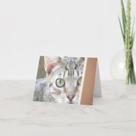 Cartão - Nota - Forlorn Kitten