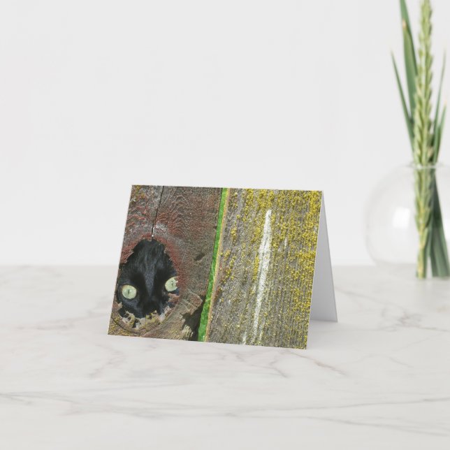 Cartão - Nota - Gato preto a espiar (Frente)