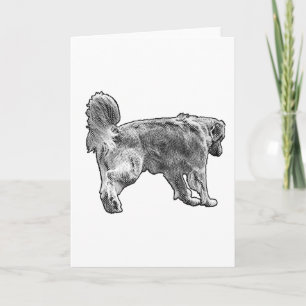 Cartão Nota Quente, Passo Pontilhado