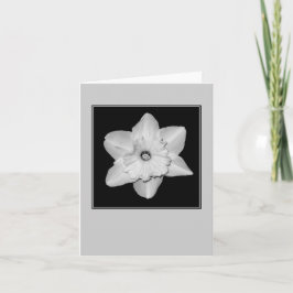 Cartão Nota Simples Flor de Narciso (P&B)