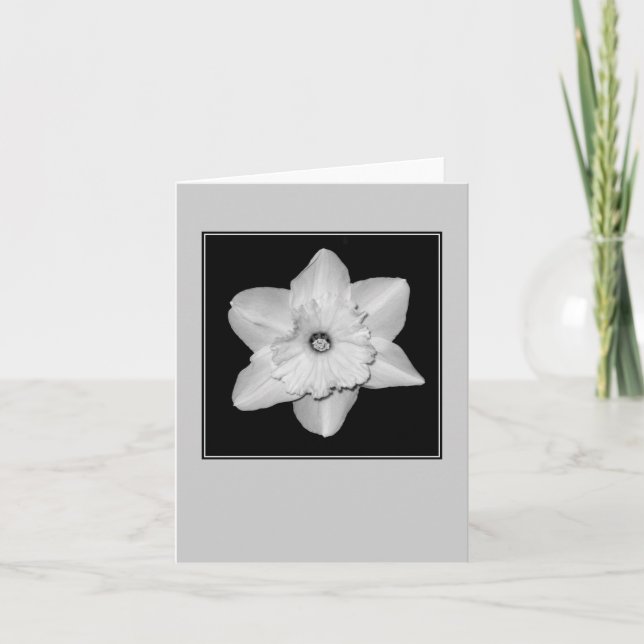 Cartão Nota Simples Flor de Narciso (P&B) (Frente)