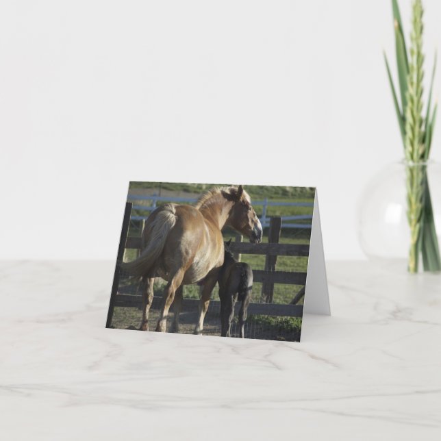 Cartão notável (Frente)