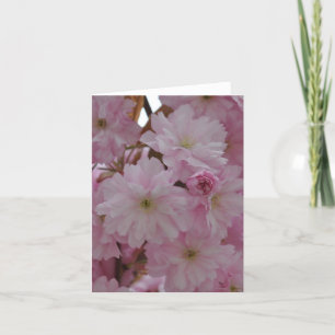 Cartão Note Card: Cherry Blossoms