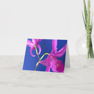 Cartão Note Card, Pink Orchid Flowers, Blue Background