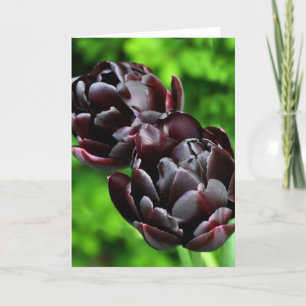 Cartão Note Card: Tulips