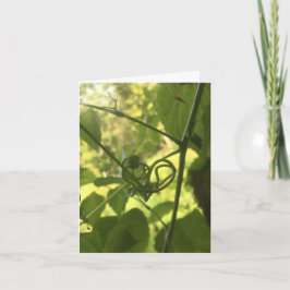 Cartão noteca do coração de videira