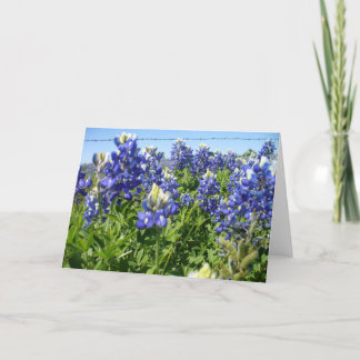 Cartão Notecard Bluebonnets