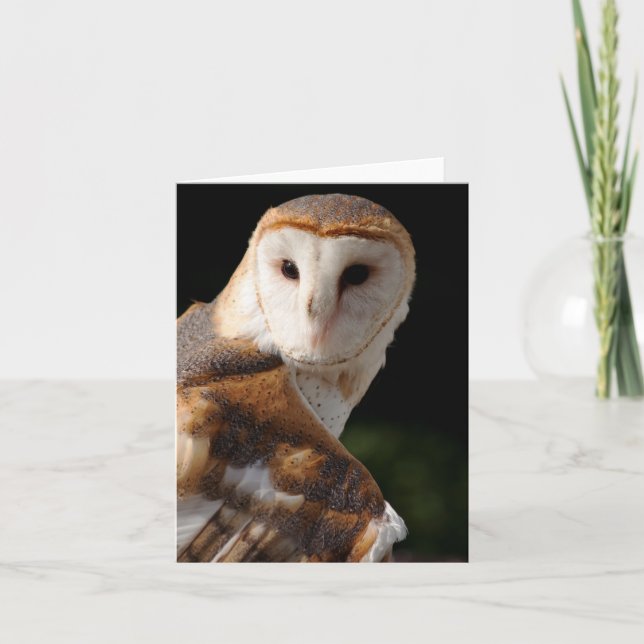 Cartão Notecard bonito da coruja de celeiro (Frente)