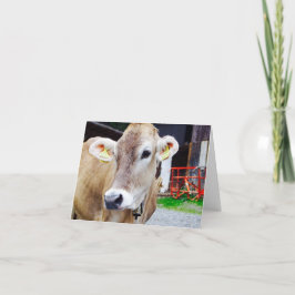 Cartão Notecard bonito da vaca