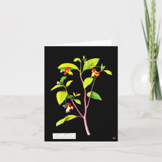 Cartão Notecard-Botanic Art-Mary Delany 7