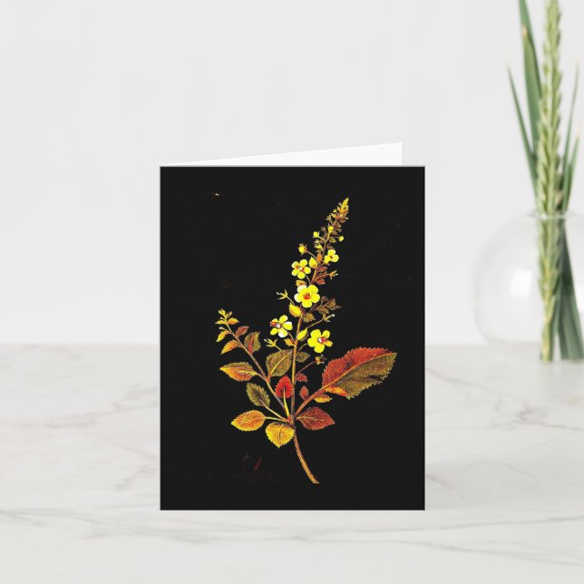 Cartão Notecard-Botanic Art-Mary Delany 8 (Frente)