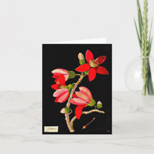 Cartão Notecard-Botanical Art-Mary Delany 17