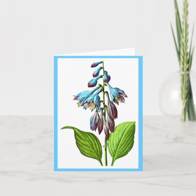 Cartão Notecard-Botanicals-Pierre Joseph Redoute 17 (Frente)