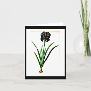 Cartão Notecard-Botanicals-Pierre Joseph Redoute 18
