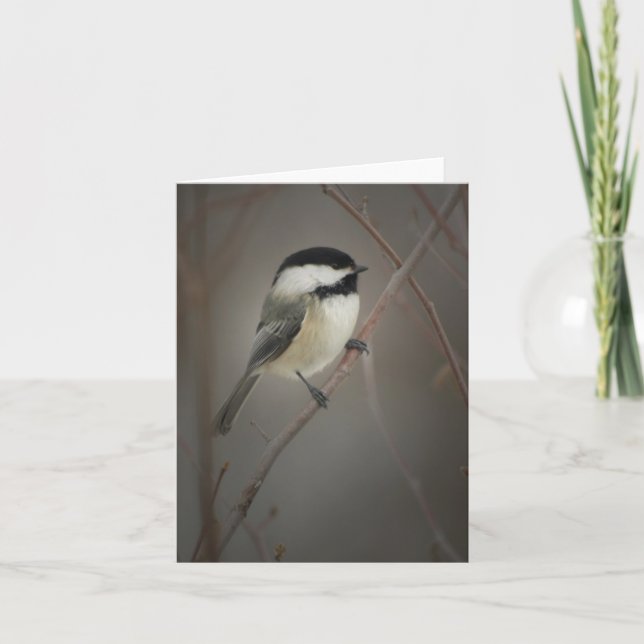 Cartão Notecard Chickadee Preto (Frente)