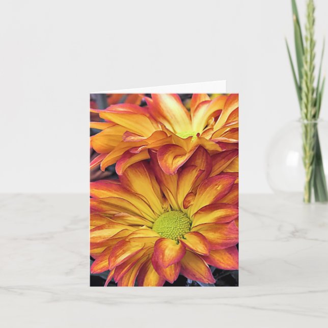 Cartão Notecard - Chrysanthemums (Frente)