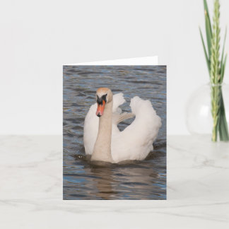 Cartão Notecard: Cisne muda masculina da "benevolência"