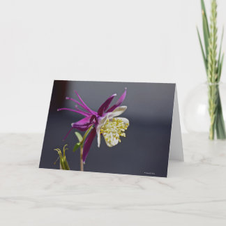 Cartão Notecard com a flor aquilégia da relembrança