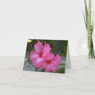 Cartão Notecard com flores cor-de-rosa