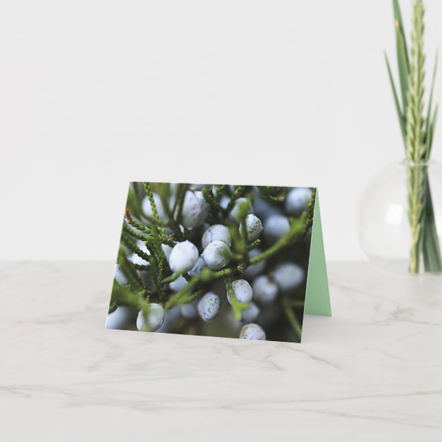 Cartão Notecard com Juniper Berries (Frente)