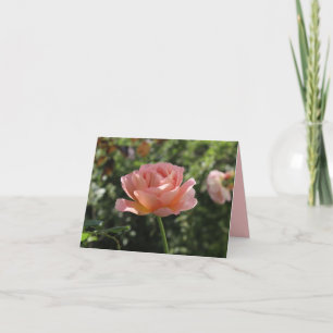 Cartão Notecard com Rosa de coral bonito
