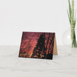 Cartão Notecard com Sunset Gordo