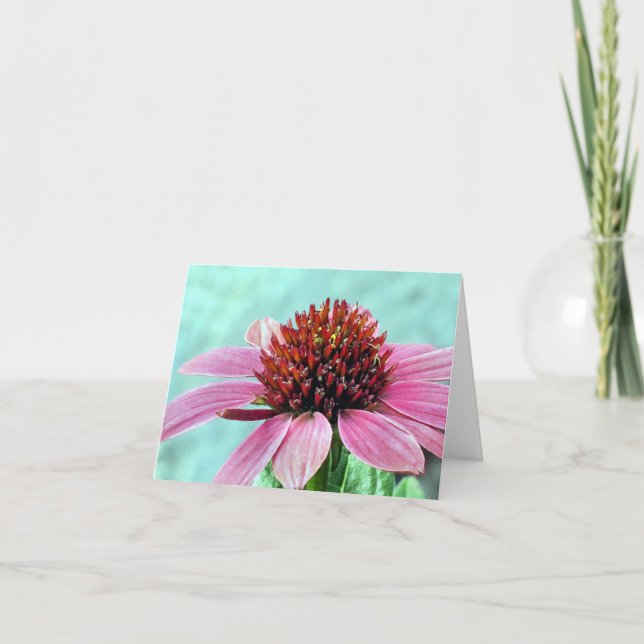 Cartão Notecard - Coneflower Rosa (Frente)
