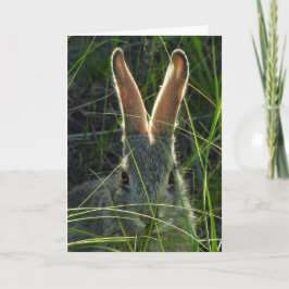 Cartão Notecard Cottontail de montanha