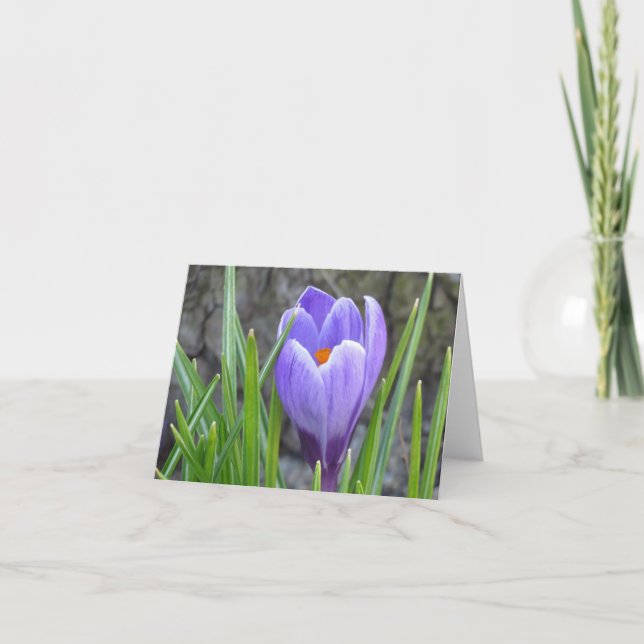 Cartão Notecard - Crocus (Frente)