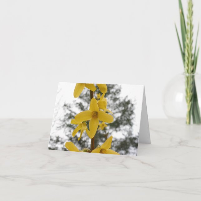 Cartão Notecard da flor do Forsythia (Frente)