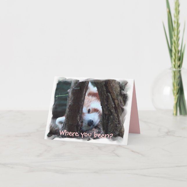 Cartão Notecard da panda vermelha: "Onde você sido? Eu (Frente)