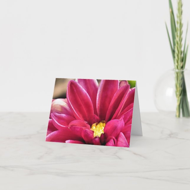 Cartão Notecard - Dahlia closeup (Frente)