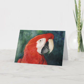 Cartão Notecard de Arte Original "Scarlet Macaw"