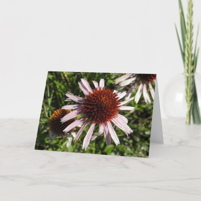 Cartão Notecard de Coneflower Roxo (Frente)