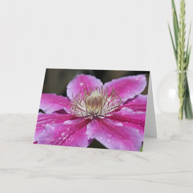 Cartão Notecard de Flor Clematis Rosa (Frente)