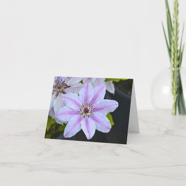 Cartão Notecard de Flor de Paixão (Frente)