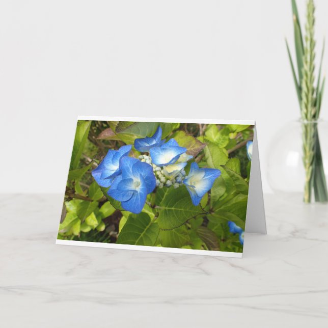 Cartão Notecard de flores azuis (Frente)
