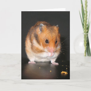 Cartão Notecard de hamster