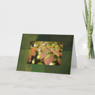Cartão Notecard de outono