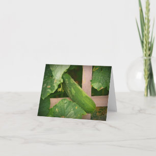 Cartão Notecard de pepino