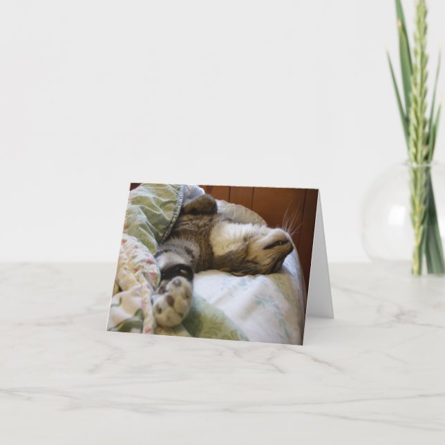 Cartão Notecard de relaxamento de Thomas (Frente)