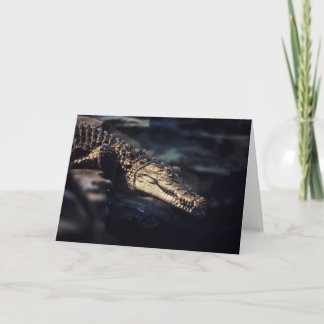 Cartão Notecard do crocodilo do caimão