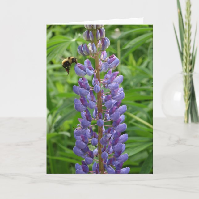 Cartão Notecard do Lupine e da abelha (Frente)