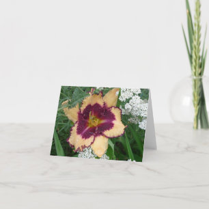 Cartão Notecard do New Day Gardens- Daylily 'Sabine Baur'