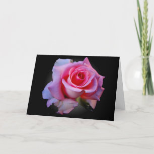 Cartão Notecard do rosa do rosa